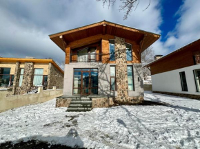 Villa on the Edge of the Forest Bakuriani